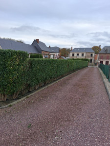 Photo de galerie - Taille troène 