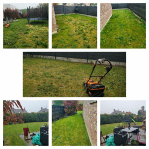 Photo de galerie - Tonte de pelouse