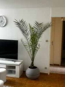 Photo de galerie - Aménagement de l’intérieur