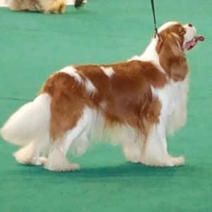 Photo de galerie - .