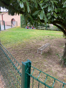 Photo de galerie - Tonte de pelouse - Débroussaillage