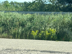 Photo de galerie - Je peut vous rendre un énorme service dans les meilleurs délai 