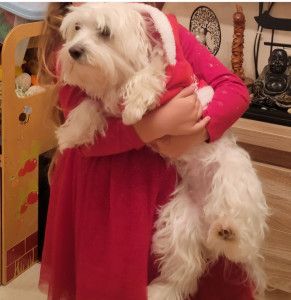 Photo de galerie - La princesse 