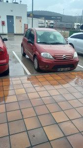 Photo de galerie - Vous propose mes prestations suivantes, covoiturage, accompagnement courses, dct et promenades...