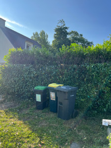 Photo de galerie - Taille de haies et d'arbustes