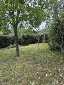 Photo de galerie - Débroussaillage 