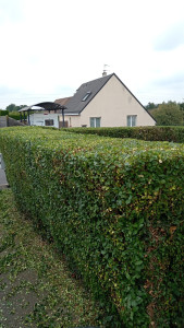 Photo de galerie - . 