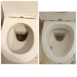 Photo de galerie - Nettoyage wc