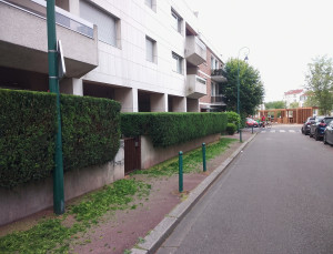 Photo de galerie - Taille de haie