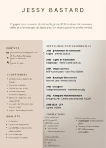 Photo de galerie - 
voilà mon CV !
