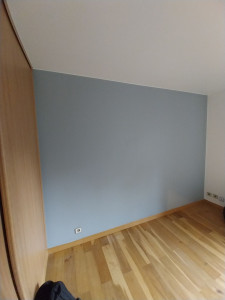 Photo de galerie - Peindre de mur 