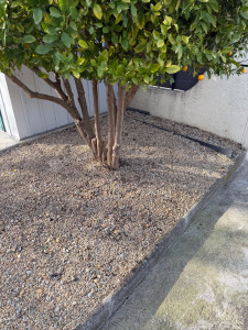 Photo de galerie - Paysagiste - Aménagement du jardin