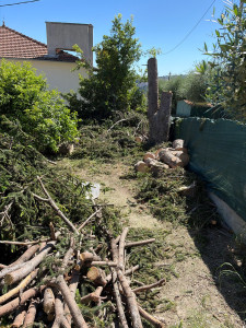 Photo de galerie - Elagage et coupe d'arbres
