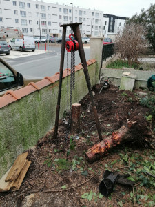 Photo de galerie - Dessouchage et emportage des déchets verts 