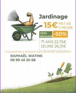 Photo de galerie - INFOS UTILE ET DECLARATION SUR LE SITE CESU URSSAF.