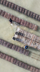 Photo de galerie - Photographe