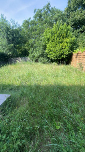 Photo de galerie - Tonte de pelouse - Débroussaillage