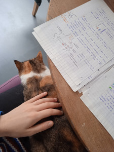 Photo de galerie - Cette photo montre Misha et moi, le chat que j'ai gardé pendant une année lorsque je vivais à Lille. 