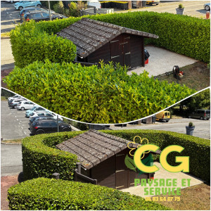 Photo de galerie - Taille 