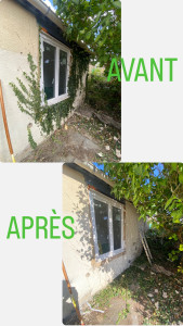 Photo de galerie - Arrachage d’un lierre 