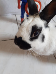 Photo de galerie - .