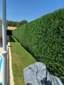 Photo de galerie - .