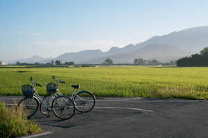 Photo de galerie - Cardio (vélo)