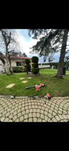Photo de galerie - Tonte de pelouse

