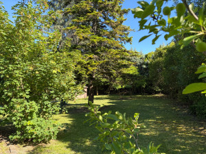 Photo de galerie - Tonte et taille haies et arbustes