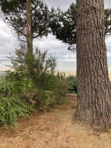 Photo de galerie - La Baule, paysage insolite