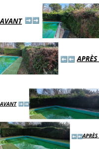 Photo de galerie - Taille de haies et d'arbustes