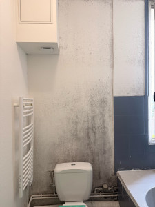 Photo de galerie - Peinture - Tapisserie