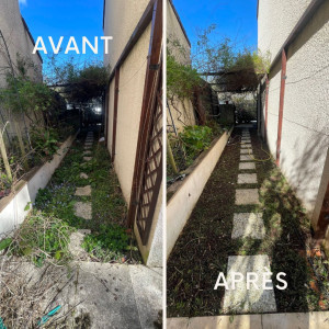 Photo de galerie - Avant/après