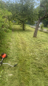 Photo de galerie - Travail, soigne