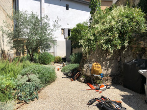 Photo de galerie - Entretien des jardins 