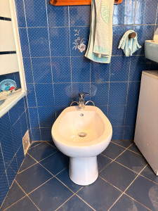 Photo de galerie - Changement bidet. 