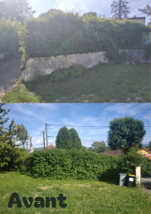 Photo de galerie - Taille de haies et d'arbustes