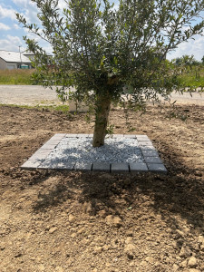 Photo de galerie - Création tour pavé