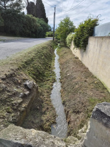 Photo de galerie - Tonte de pelouse - Débroussaillage