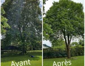 Photo de galerie - Avant et après