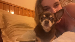 Photo de galerie - Mon chien ❤️