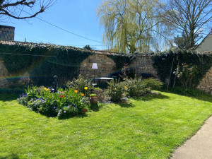 Photo de galerie - Quelques photos de mon jardin, tonte, désherbage, taille rosiers, arbustes 