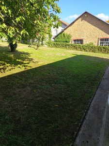 Photo de galerie - Tonte tailler haie