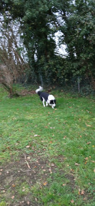 Photo de galerie - Twix 