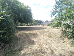 Photo de galerie - Débroussaillage remise à niveau 