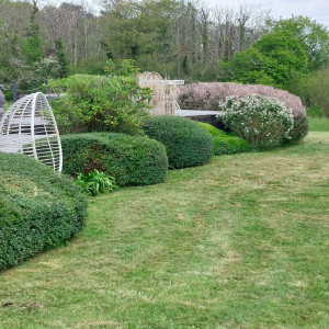 Photo de galerie - Tonte de pelouse - Débroussaillage