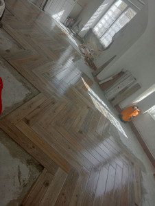 Photo de galerie - .