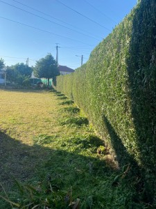 Photo de galerie - Client très satisfait 
