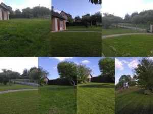 Photo de galerie - Tonte de pelouse 