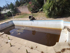 Photo de galerie - Entretien piscine